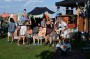 Thumbs/tn_Woodstock 2.0 2024 336.jpg